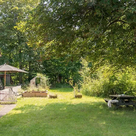 Pet Friendly In With Kitchen * Skagen